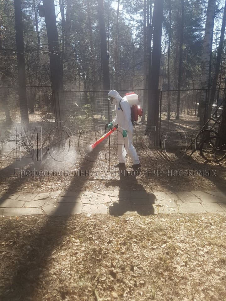 Уничтожение клещей на участке в Сергиев Посаде